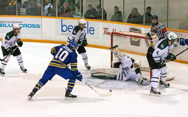 Goalie Ryan Holfeld recorded his third shutout of the season to help the Dogs to two wins.