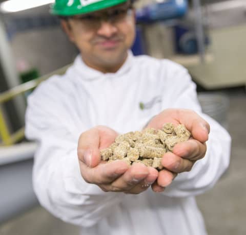 U of S students will have the opportunity to contribute to improving the quality of animal feed pellets at the CFRC.