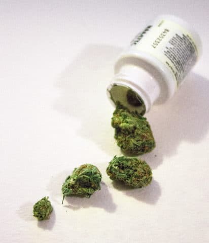 medical-marijuana-jeremy-britz