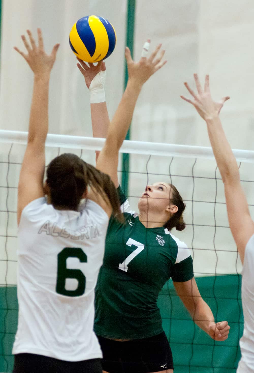 Volleyball: Dogs battle higher ranked UBC Thunderbirds – The Sheaf ...