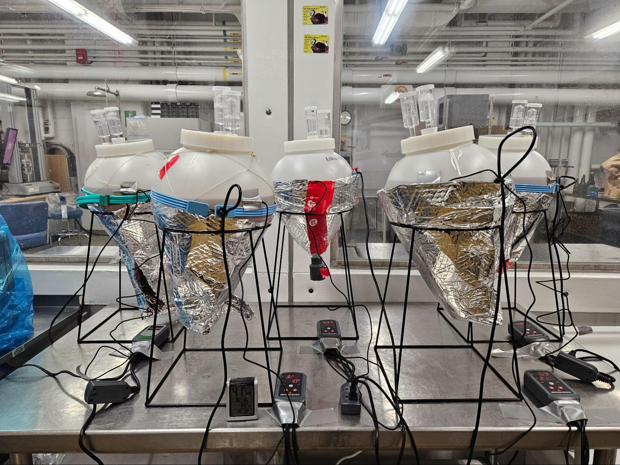 The Science Behind Beer The Sheaf The University of Saskatchewan