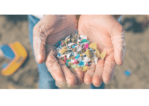 Hands with microplastics on the beach| David Pereiras Canva Pro