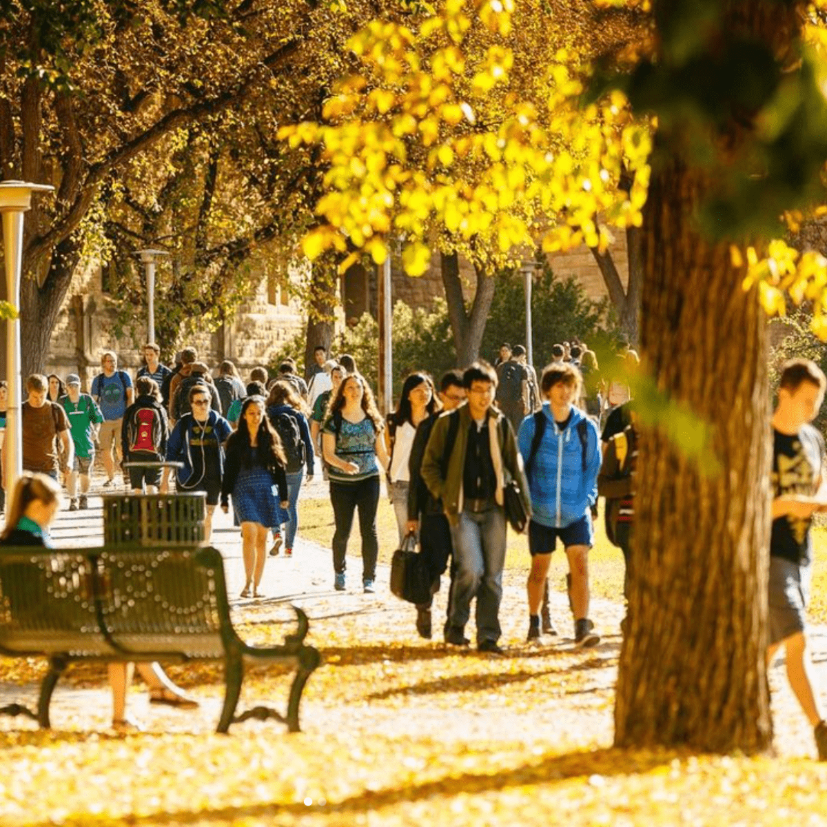 First week of Fall Term at USask coming to an end, September 2023. | USask Instagram