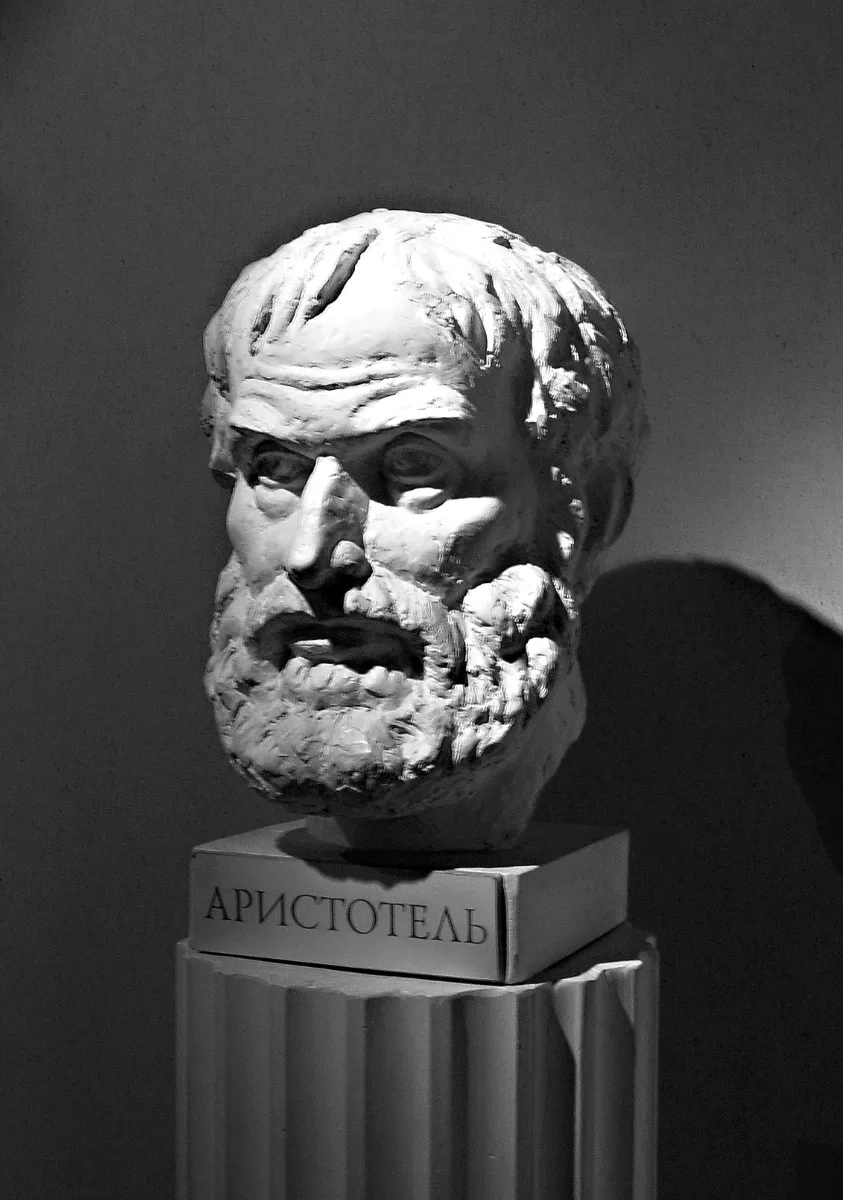 Aristotle’s Bust | PhilSigin from Getty Images Signature | Canva Pro