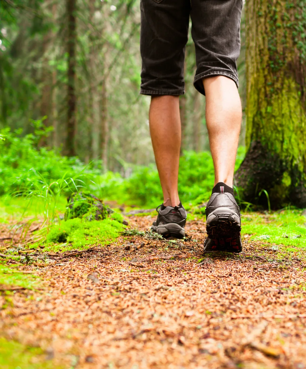 Mountain walking. | kieferpix from Getty Images | Canva Pro