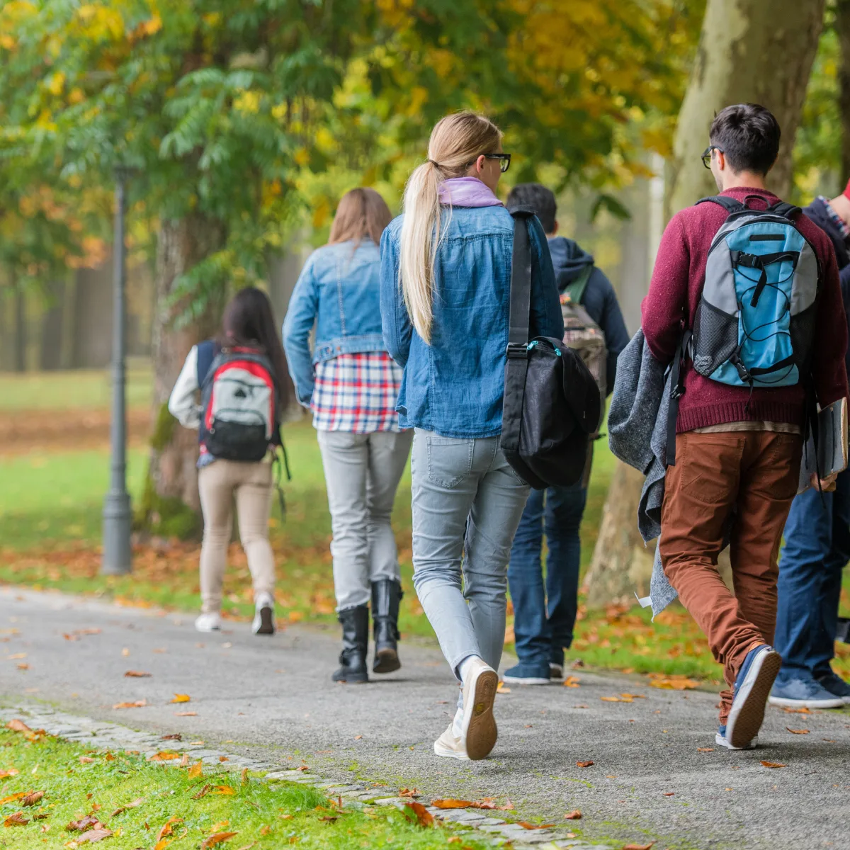 University students walking on campus | Simonkr Getty Images Signature | Canva Pro
