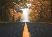 Autumn road | Patrick Tomasso from Unsplash