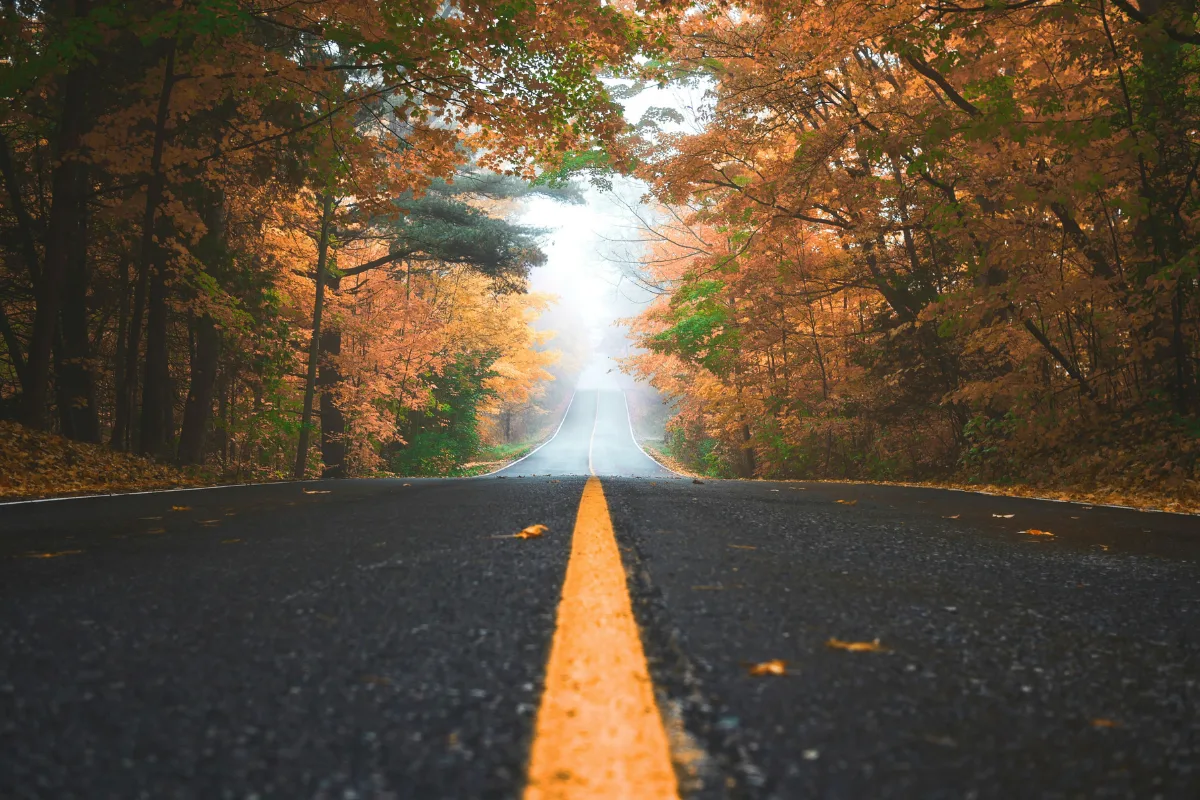 Autumn road | Patrick Tomasso from Unsplash