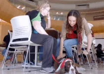 Handler Jane Smith and Murphy at the USask Gordon Oakes Red Bear Student Centre | Screengrab