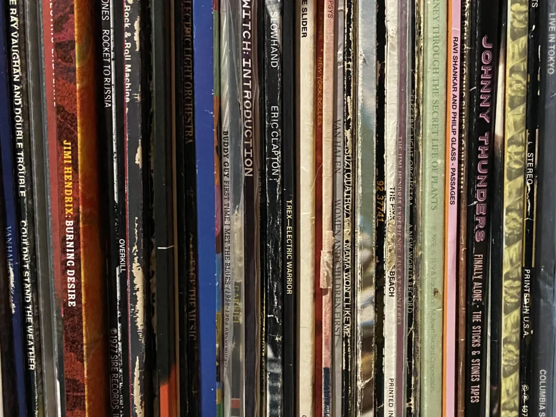 The authors personal record collection | Nicolas Rock