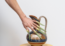 Meera Margaret Singh, Gentle Animals, 2023 | Courtesy of the artist.