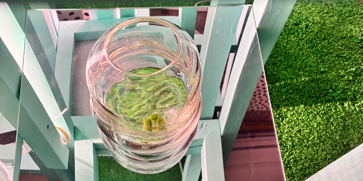 Duckweed Growth Module II (detail), mixed media, 2026 | Kelly Jaclynn Andres